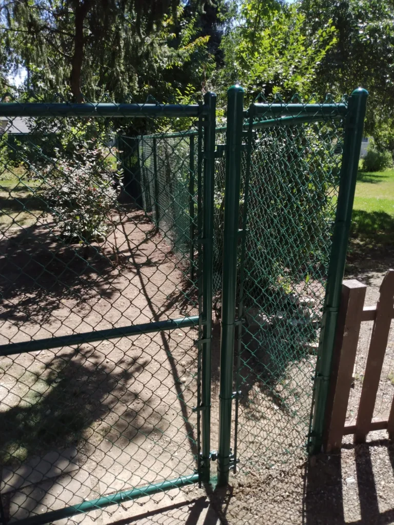 Green chain link & garden gate